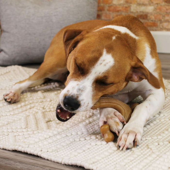 Играчка за Кучета Nylabone 11 Кафяв Животни