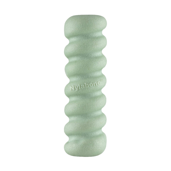 Гризалка за кучета Nylabone SENSORY TACTILE STICK Зелен Фъстъчено масло Bacon S