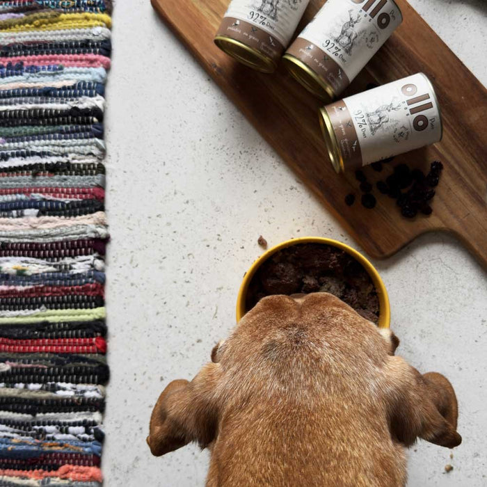 OLLO Pure Deer – мокра храна за кучета – 850гр