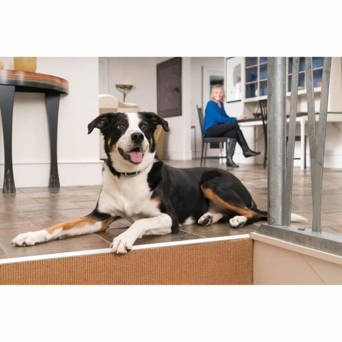 Яка против отблясъци PetSafe Син
