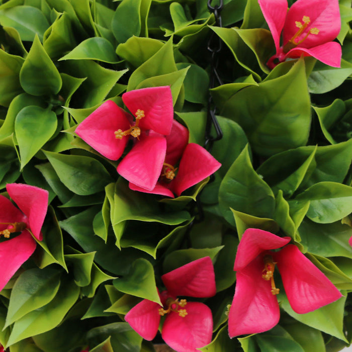 ДЕКОРАТИВНО ОЗЕЛЕНЯВАНЕ ВИСЯЩА КОШНИЦА ROSSIMA БУГЕНВИЛЕЯ