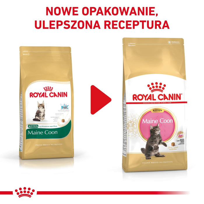 Royal Canin Maine Coon Kitten суха храна за котки 10 кг