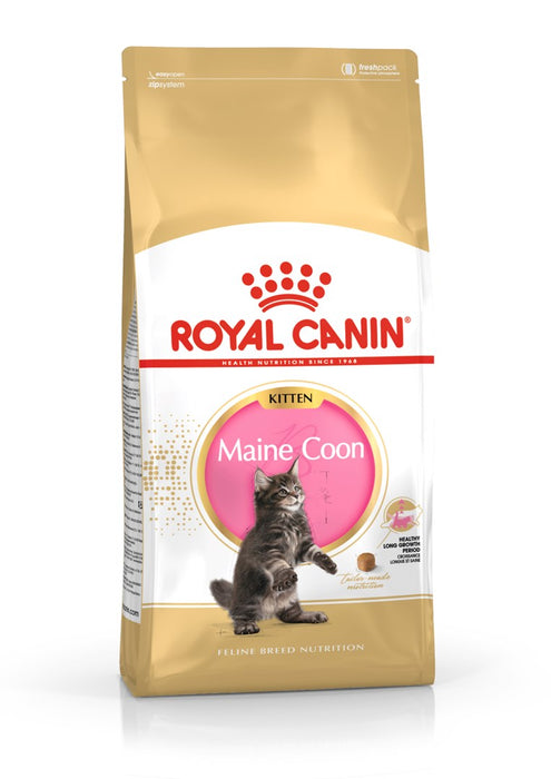 Royal Canin Maine Coon Kitten суха храна за котки 10 кг
