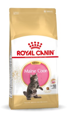 Royal Canin Maine Coon Kitten суха храна за котки 10 кг