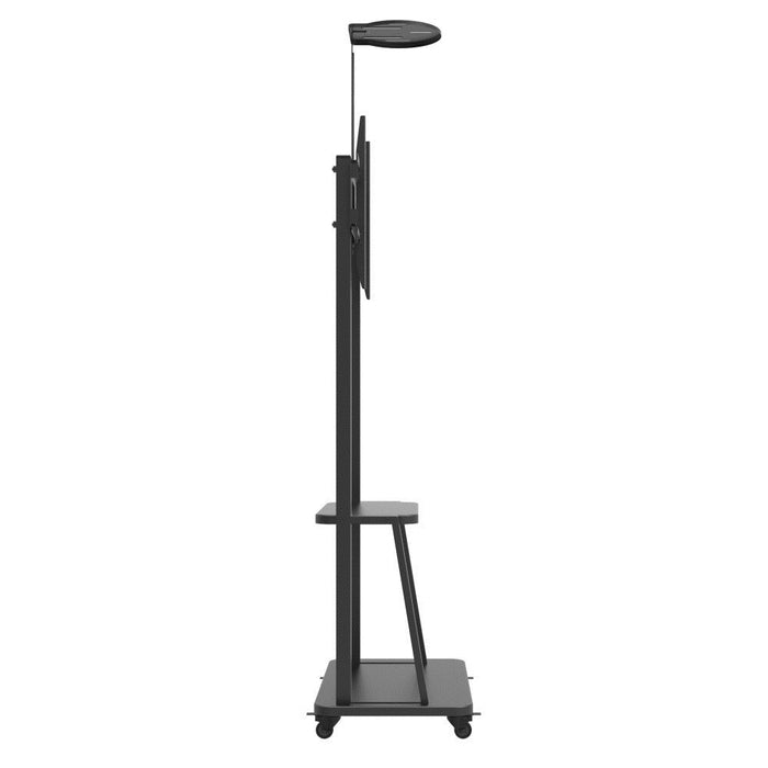 Techly ICA-TR33 стойка за дисплей за табели 177,8 см (70") Черен
