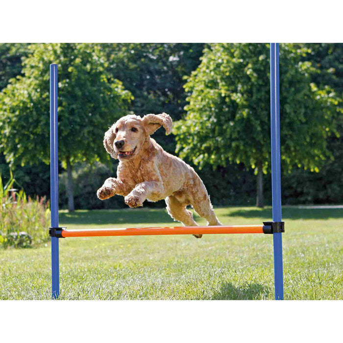 Играчка за обучение Trixie