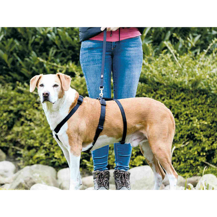 Водач за куче Trixie Stay Черен M/L