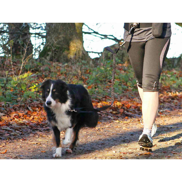 Каишка Trixie 1275 Колан