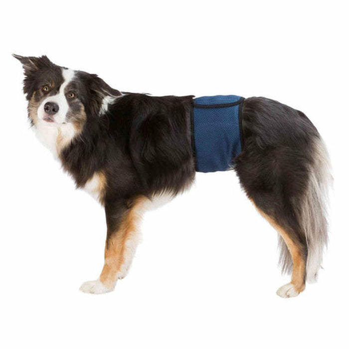 Закрепваща лента Trixie 45-55 cm Мъжки Корем