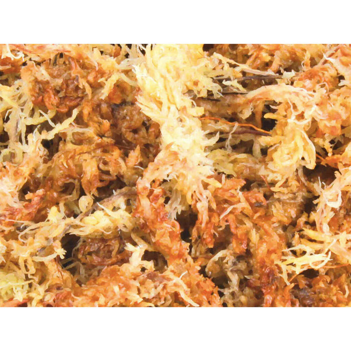 Субстрат Trixie 4,5 L Мъх