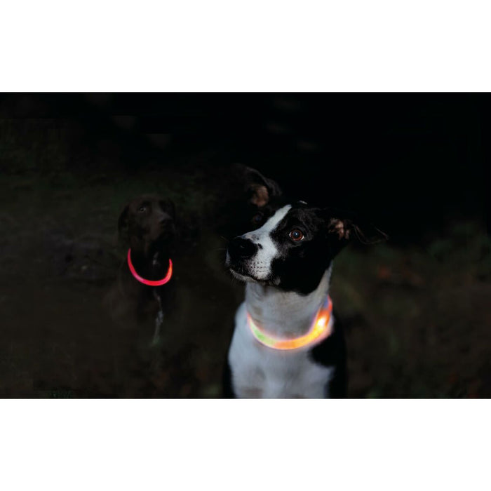 LED Нашийник за Домашни Любимци Trixie Оранжев L/XL