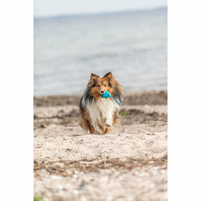 Играчка за Кучета Trixie цвят тюркоаз ø 6 x 23 cm Pall