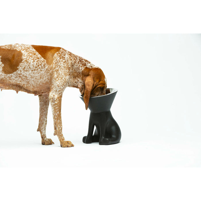 Хранилка за кучета United Pets Up Elisabeth Черен Неръждаема стомана полиетилен 1 L