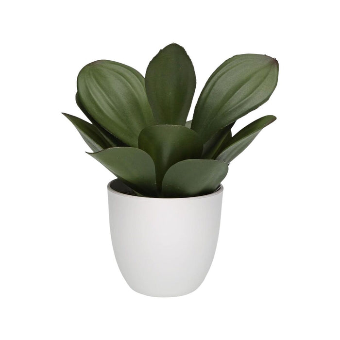 Декоративно Растение Versa Желязо Текстил Пластмаса 25 x 23 cm