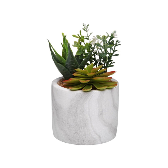 Декоративно Растение Versa Керамика Пластмаса Fusion Сочен 9 x 15 x 9 cm