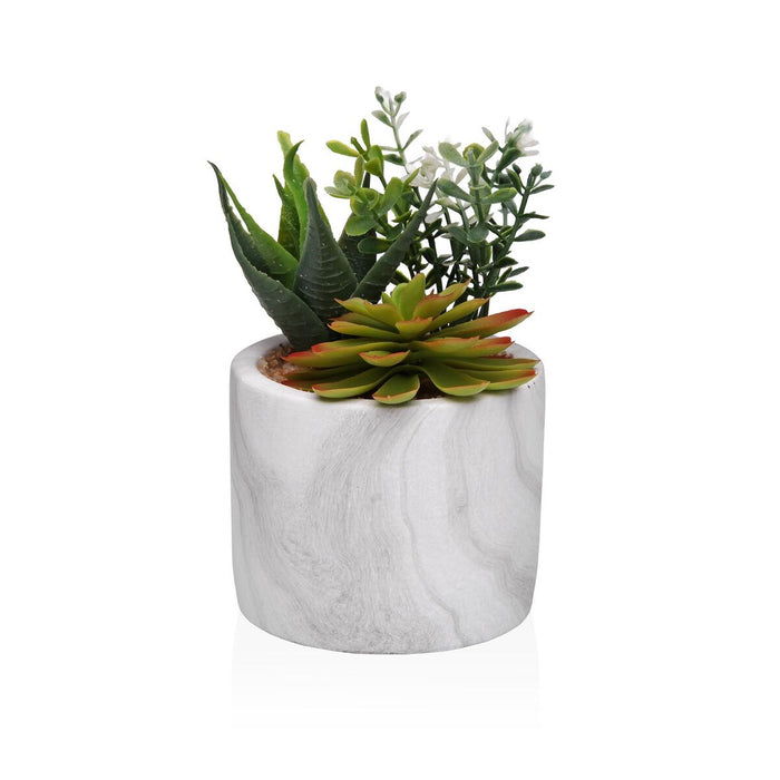Декоративно Растение Versa Керамика Пластмаса Fusion Сочен 9 x 15 x 9 cm