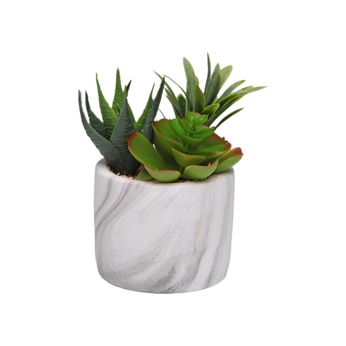 Декоративно Растение Versa Керамика Пластмаса Fusion Сочен 9 x 15 x 9 cm