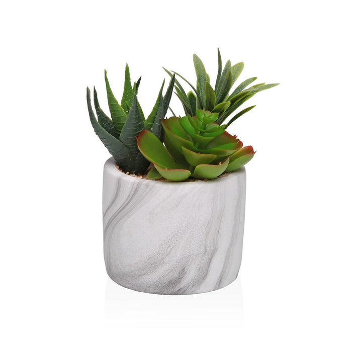 Декоративно Растение Versa Керамика Пластмаса Fusion Сочен 9 x 15 x 9 cm