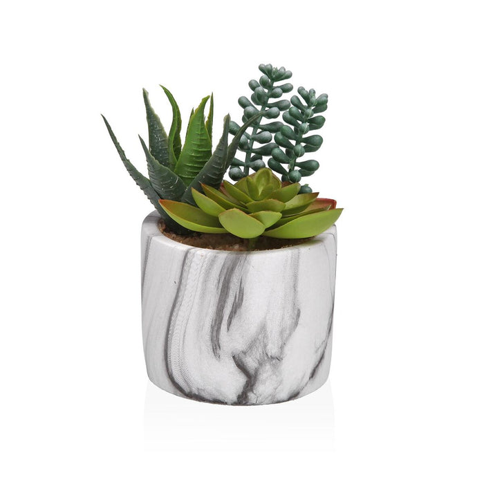 Декоративно Растение Versa Керамика Пластмаса Fusion Сочен 9 x 15 x 9 cm