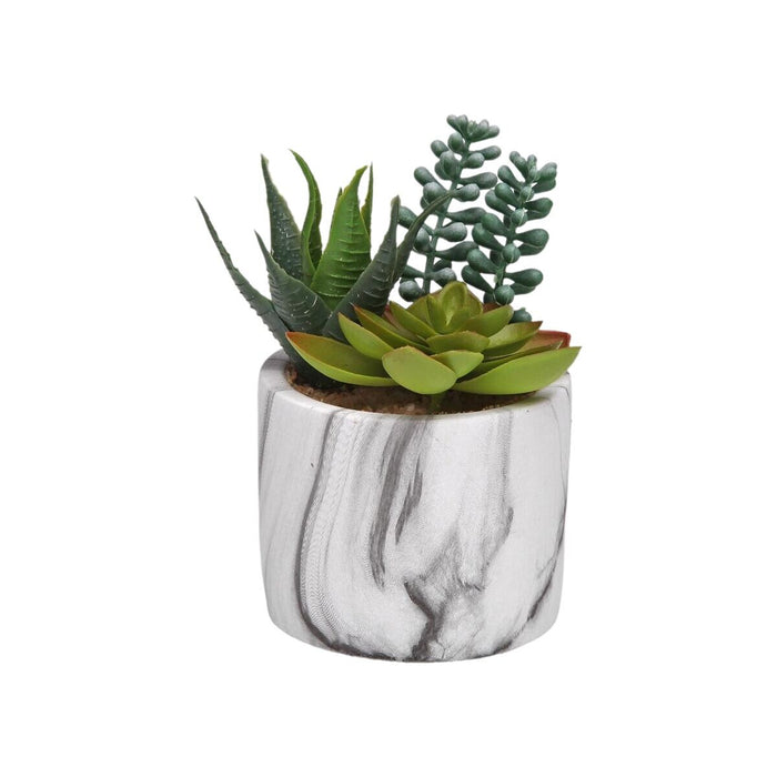 Декоративно Растение Versa Керамика Пластмаса Fusion Сочен 9 x 15 x 9 cm