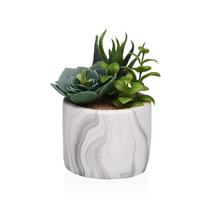 Декоративно Растение Versa Керамика Пластмаса Fusion Сочен 9 x 15 x 9 cm
