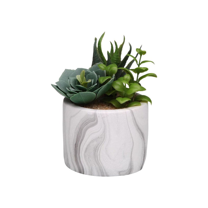 Декоративно Растение Versa Керамика Пластмаса Fusion Сочен 9 x 15 x 9 cm