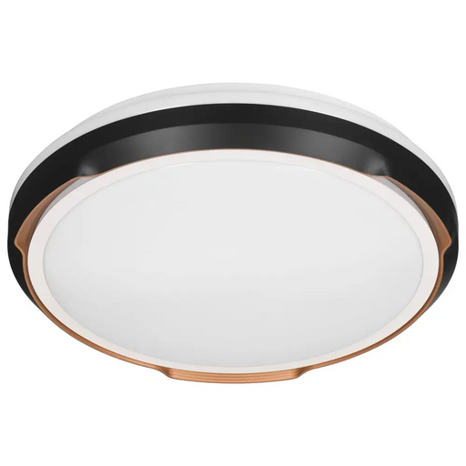 Activejet LED плафон AJE-PETRUS 24W
