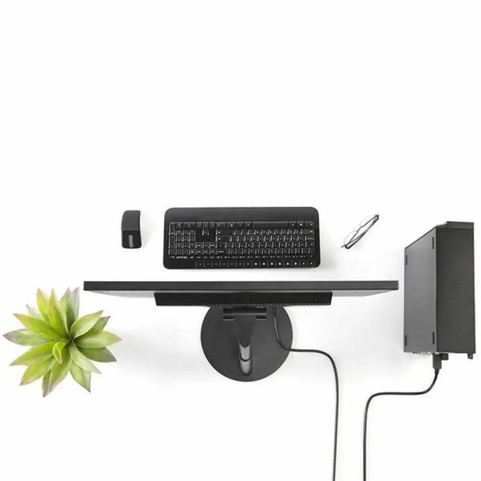 Адаптер DisplayPort към DVI Startech DP2DVI2MM6 (1,8 m)