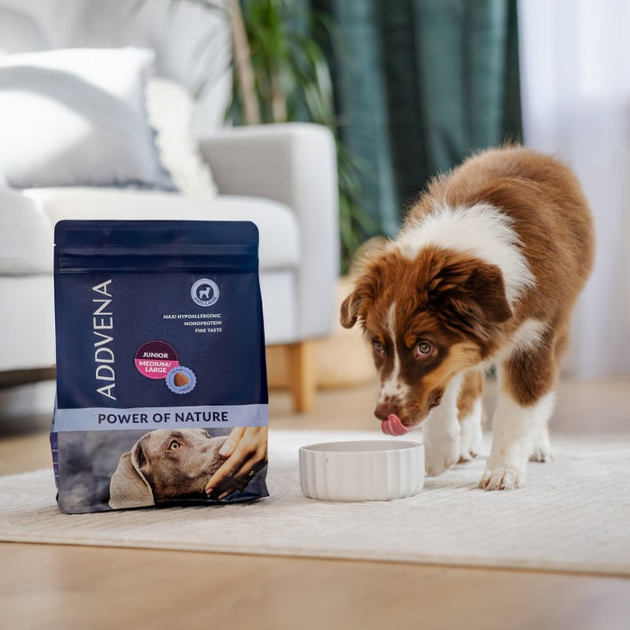 ДОБАВКА POWER OF NATURE dla szczeniąt średnich i dużych ras 10kg
