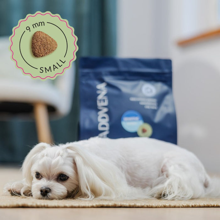 ADDVENA POWER OF NATURE Sensitive dla psów wrażliwych małych ras 2,5 кг