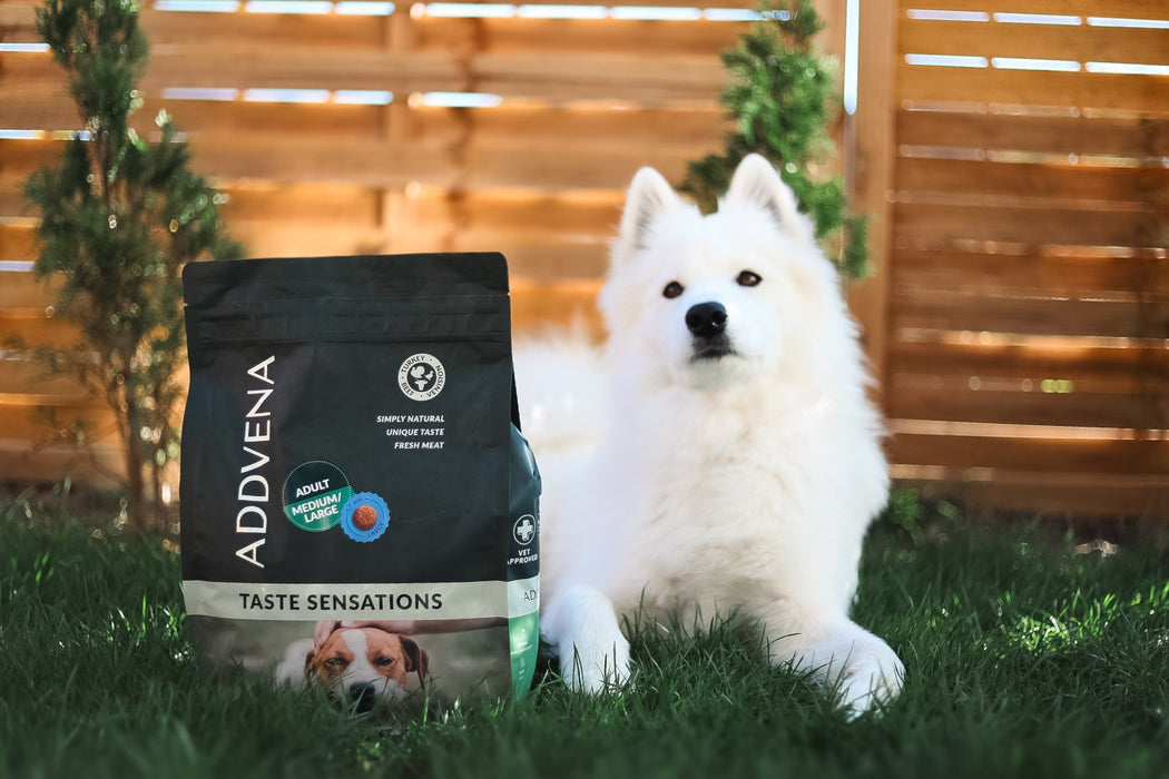 ADVENA Taste Sensations суха храна за кучета за възрастни средни/големи пуйки - 10 кг