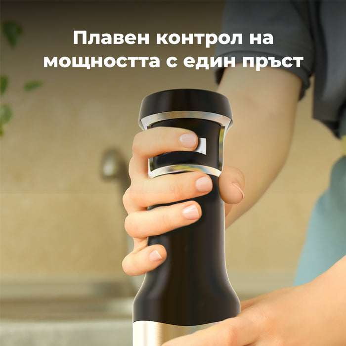Пасатор AENO AHB0003 1000 W