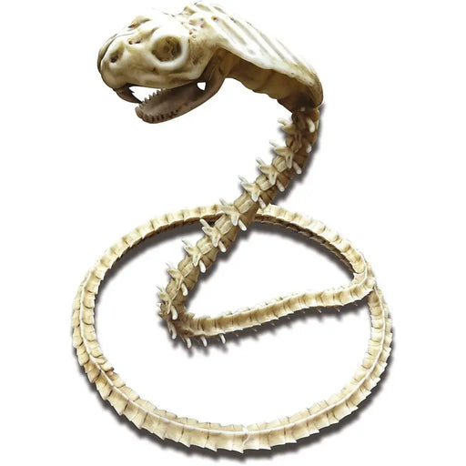 Аксесоари за Маскараден Костюм My Other Me Скелет Cobra