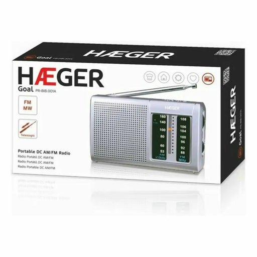 AM / FM радио Haeger PR-BIB.001A Сив