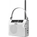 AM / FM радио Sangean PR-D6