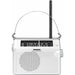 AM / FM радио Sangean PR-D6