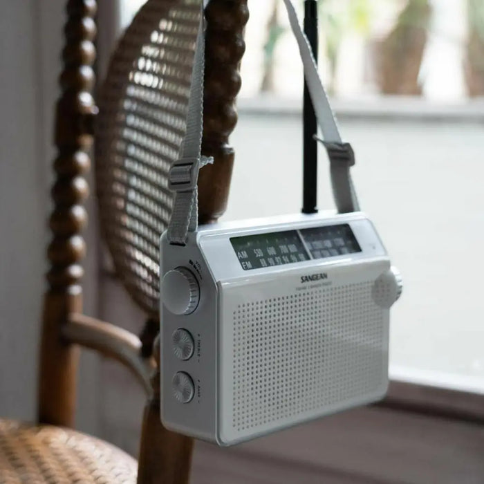 AM / FM радио Sangean PR-D6