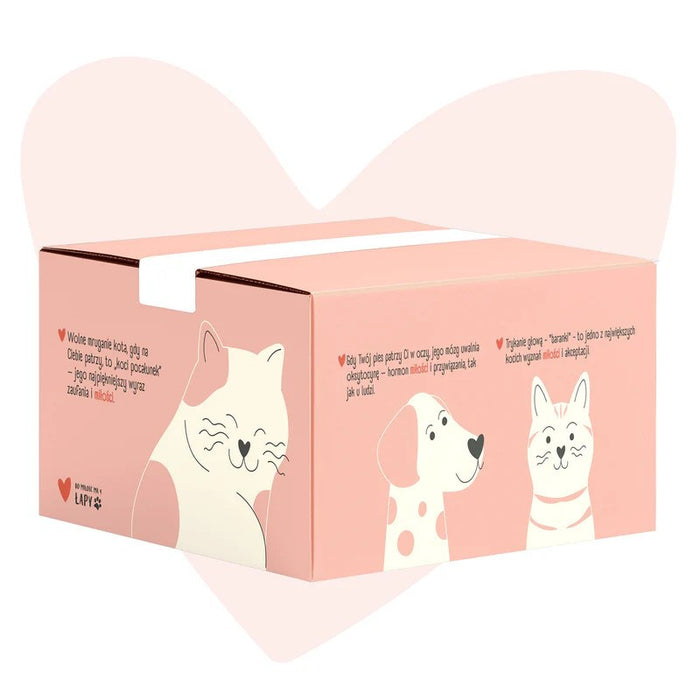 ANIMAL ISLAND Love Box - мокра храна за котки - 52x85 г