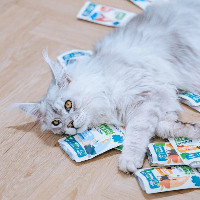 ANIMAL ISLAND Филета от пуйка / бяла риба в бульон - мокра храна за котки - 80x85 г