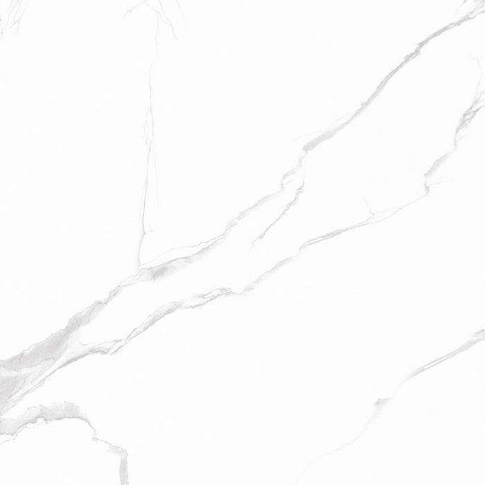 ГРАНИТОГРЕС CLASSIC CARRARA SILVER 45X45