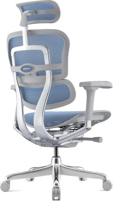 Ергономичен стол Antares - ERGOHUMAN 2 ELITE GREY, син