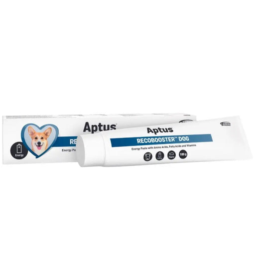 APTUS RECOBOOSTER Dog odżywienie i apetyt paes 100g