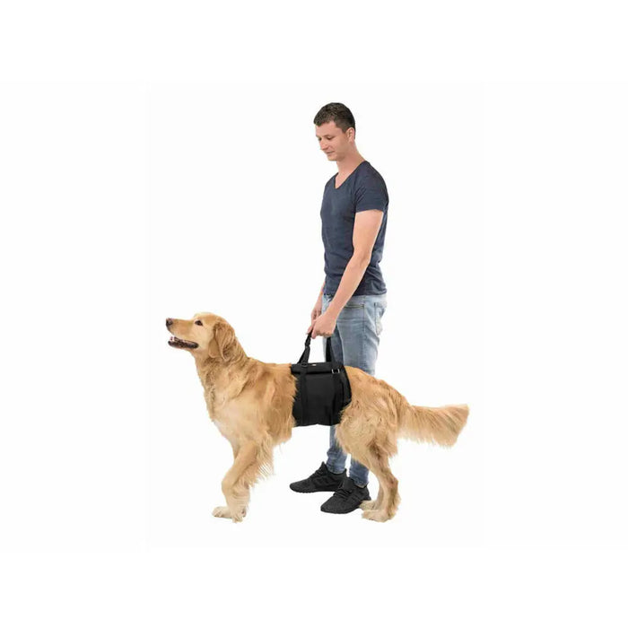 Асансьор Trixie