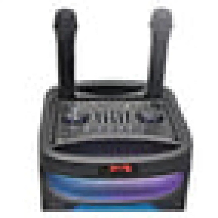 Аудио система THUNDER THS-B1021