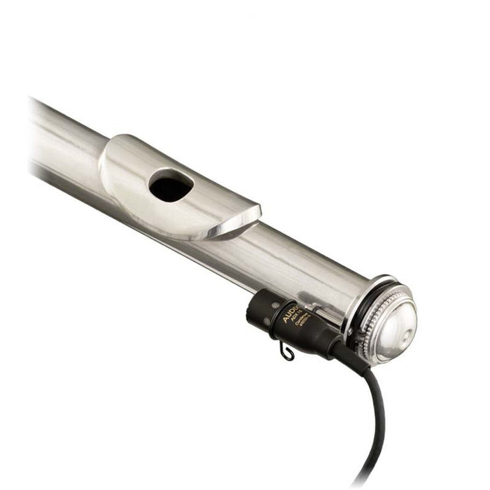Кондензаторен микрофон Audix ADX10FL