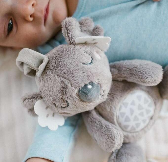 Бебешка музикална играчка Babyono - Koala Coco