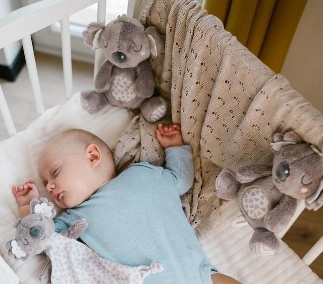 Бебешка музикална играчка Babyono - Koala Coco