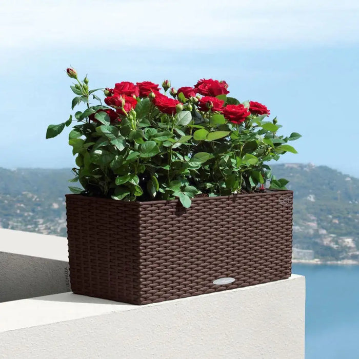 БАЛКОНИЕРА 50CM LECHUZA COTTAGE