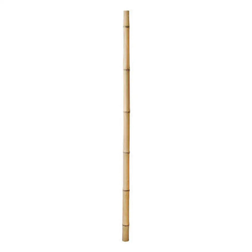 БАМБУКОВО КОЛЧЕ 180CM UNB 8122