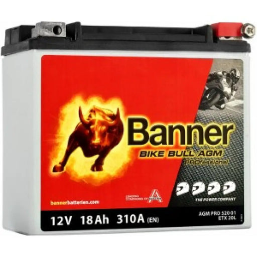 BANNER BIKE BULL AGM PROFESSIONAL ETX20L 18AH 310A R+